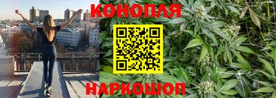 ALPHA-PVP Гатчина