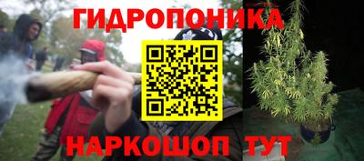 круглые Гай