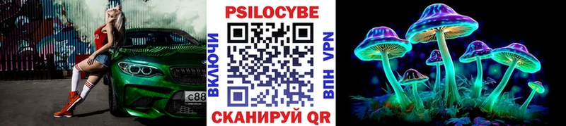Псилоцибиновые грибы прущие грибы  МЕГА ONION  Железногорск  как найти закладки 