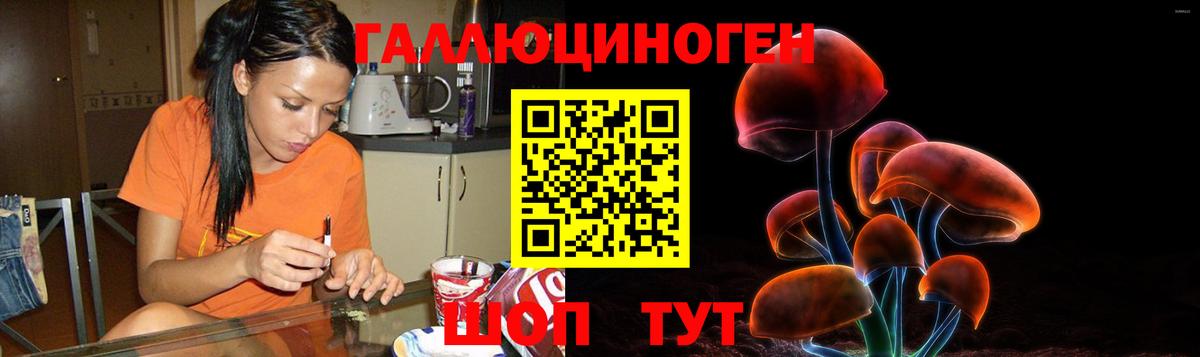 Псилоцибиновые грибы Cubensis Железногорск